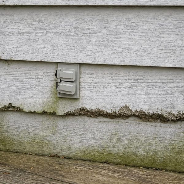 rotted wood siding